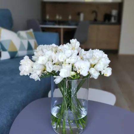 Kameleon Apartment